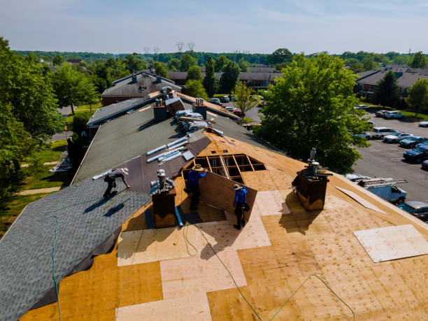Trusted Roof Replacement service in Idlewild, MI - Brentwood Metal Roofing